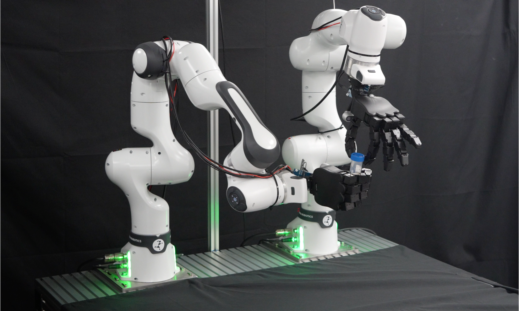 Dual Franka robot manipulation platform