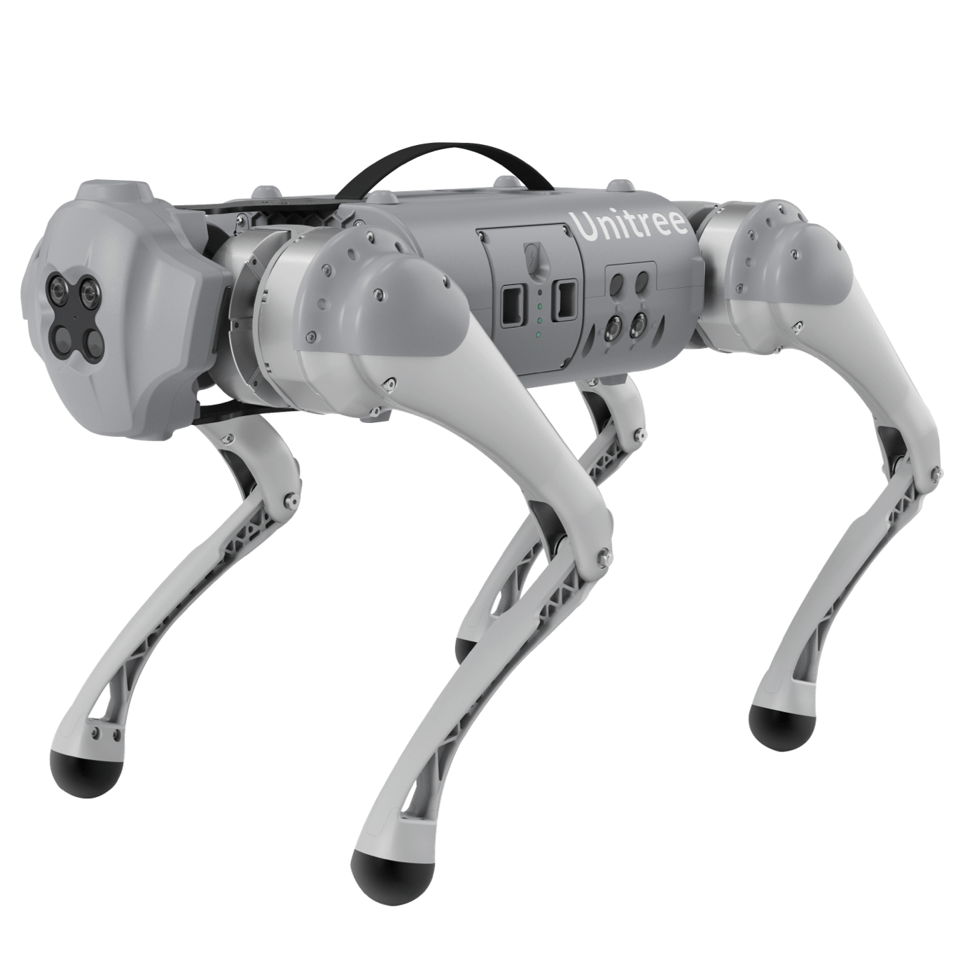 Unitree Go1 quadruped robot